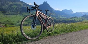Bike in der Toggenburger Natur